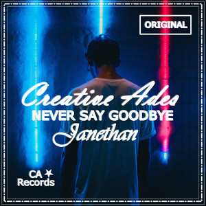 Never Say Goodbye (Original Mix)
