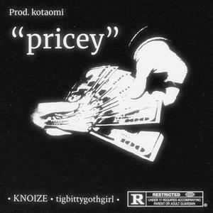 pricey (feat. tigbittygothgirl) [Explicit]