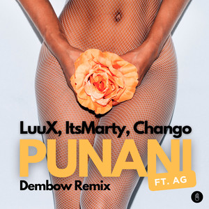 Punani (feat. AG) (Dembow Remix)