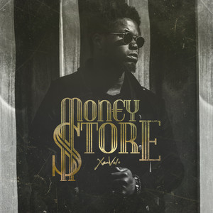 Money Store