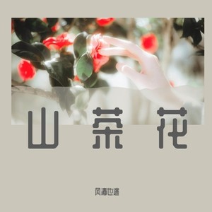 山茶花