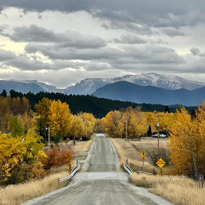 You Can Still Come Home