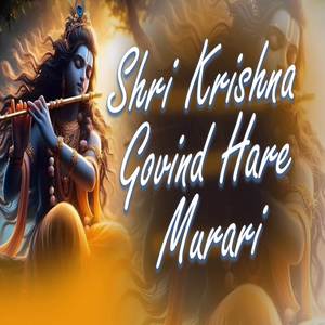 Shri Krishna Govind Hare Murari -lofi