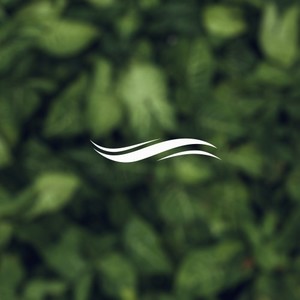 Reflections (Original Mix)