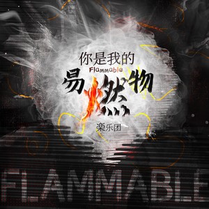 你是我的易燃物