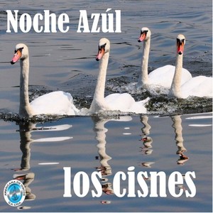 Noche Azúl