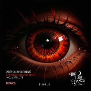 Darkness Absorbs Light (Original Mix)