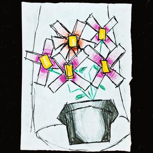 Let The Flowers Grow