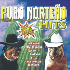 Puro Norteño Hits - 20 Temas Perrones