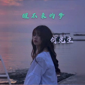 慢慢 (DJ何先生版)