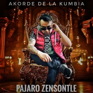 pajaro zensontle