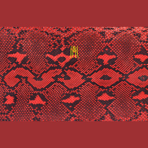 你有freestyle吗 II (diss中国有嘻哈)