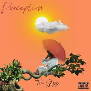 Perception (Explicit)