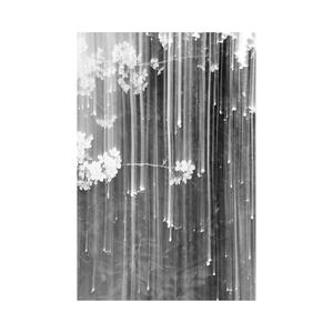 2. december (feat. Stillhigh) (Explicit)