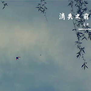 掌控