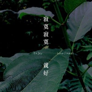 寂寞寂寞就好
