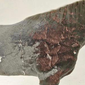 gara bigla (feat. Ekerman)