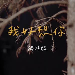 我好想你-JESSE T