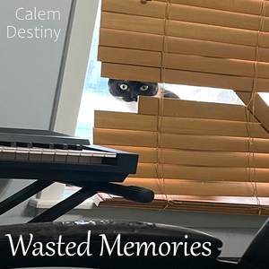 Wasted Memories (Explicit)