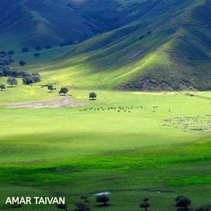 Amar taivan (feat. Tsogsogmaa)