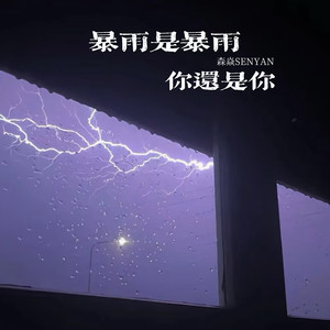 暴雨是暴雨 你还是你