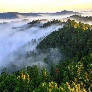 家乡的风你告诉我