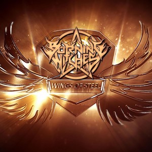 wings of steel