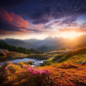 The Rhythm Of Stillness