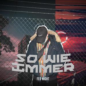 So wie Immer (Explicit)
