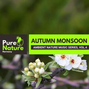 Autumn Monsoon - Ambient Nature Music Series, Vol.4