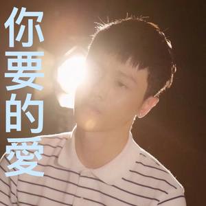 你要的爱 (深夜版)封面