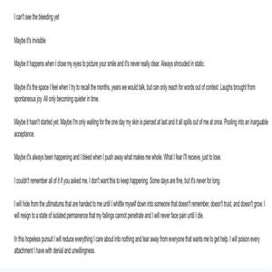 Brief Windows of Attachment (Quiet)