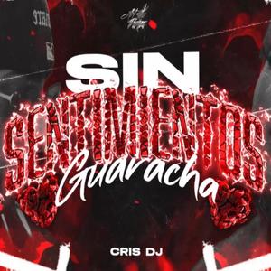 SIN SENTIMIENTOS (GUARACHA)