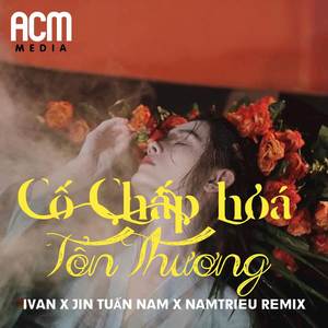 Cố Chấp Hoá Tổn Thương (NAMTRIEU REMIX)