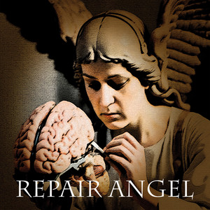 Repair Angel