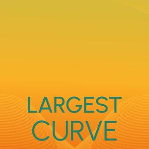 Largest Curve