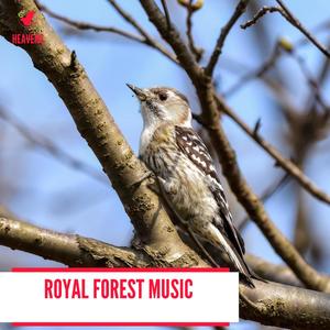 Royal Forest Music