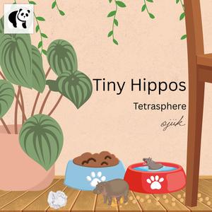 Tiny Hippos (feat. Davis Whitfield, James Robbins & Adam Arruda)