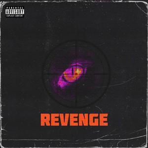 Revenge (feat. Mike oh2) [Explicit]