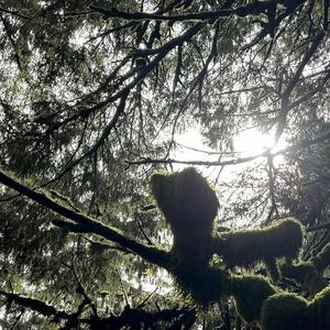 Conspiracy (Explicit)