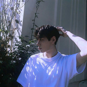 该释怀了V6 (最火BGM版)