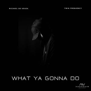 WHAT YA GONNA DO (feat. Twin Frequency) (Explicit)