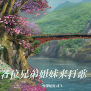 各位兄弟姐妹来打歌