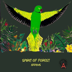 Spirit of Forest