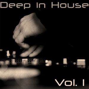 Deep in House, Vol. 1