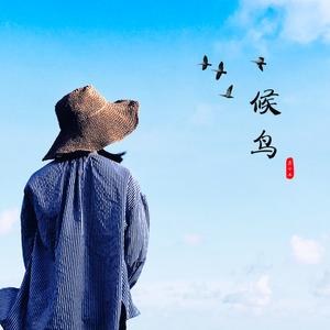 候鸟