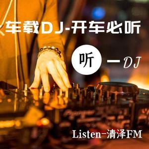爱情主演DJ何鹏版 (DJ长音频) - 清泽封面