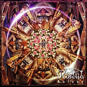 Neo-Aspect (最新维度)