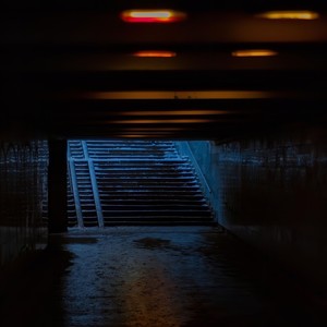 Steppen wolf (Explicit)