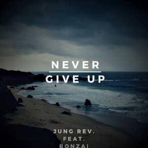 Never Give Up